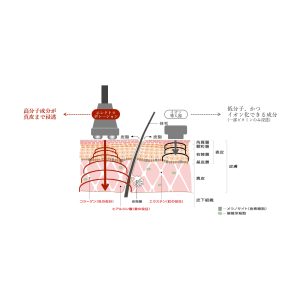 Emotion　エモーション