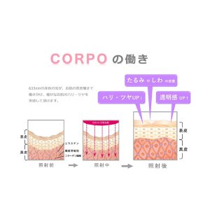 コルポプチ　CORPO putit