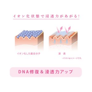 COLLAPIA　コラピア紫衣 ジェル