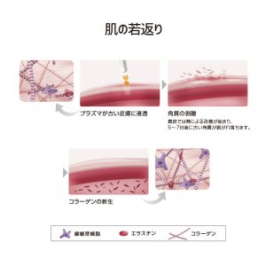 プラズマTDDS　PLAMINGO　プラミンゴ